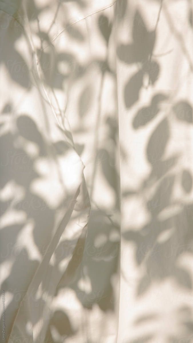 the shadow of leaves on a white wall