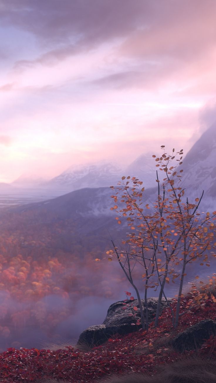 a lone tree stands on the edge of a cliff with mountains in the background and red leaves covering the ground