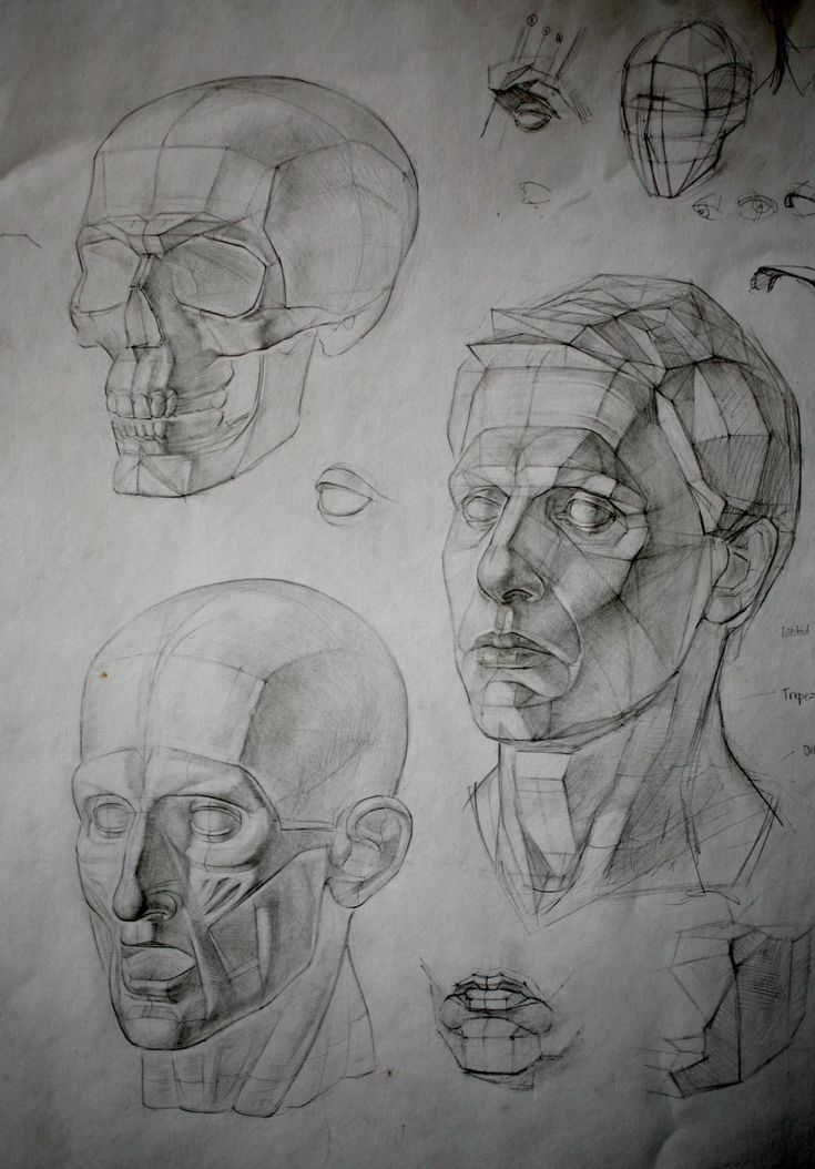 three different views of the same human head and torso, with various angles to each side