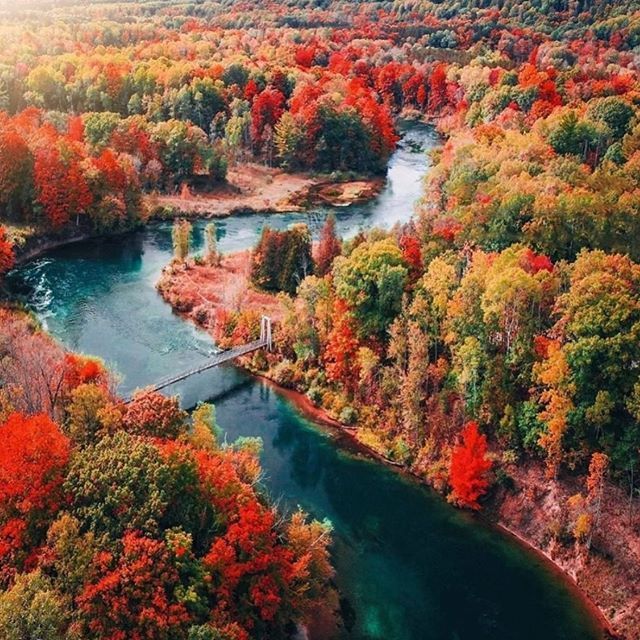 an aerial view of a river surrounded by trees in the fall with red, orange and green foliage