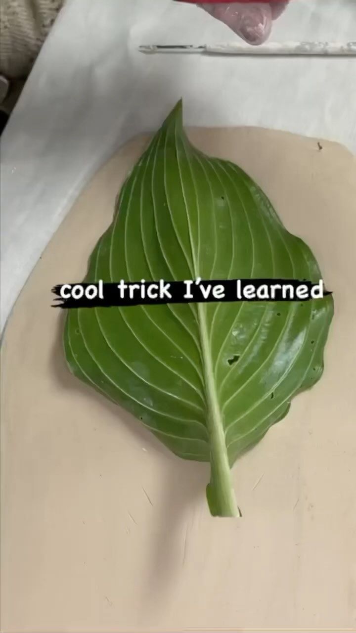 a green leaf sitting on top of a cutting board