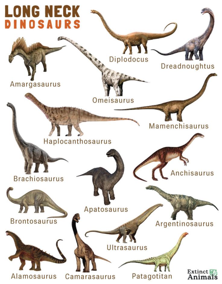 an image of dinosaurs with their names