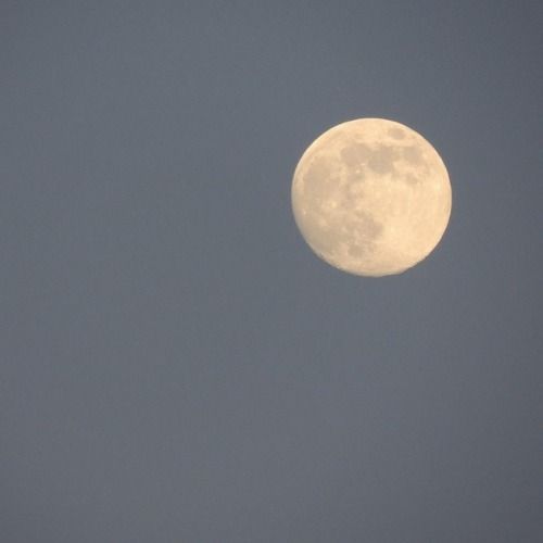 the full moon is visible in the sky above some trees on a clear day with no clouds