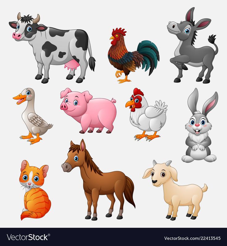 various farm animals and birds on a white background