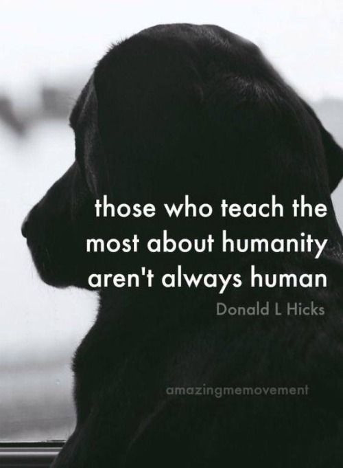 a black dog with the words those who teach the most about human aren't always human