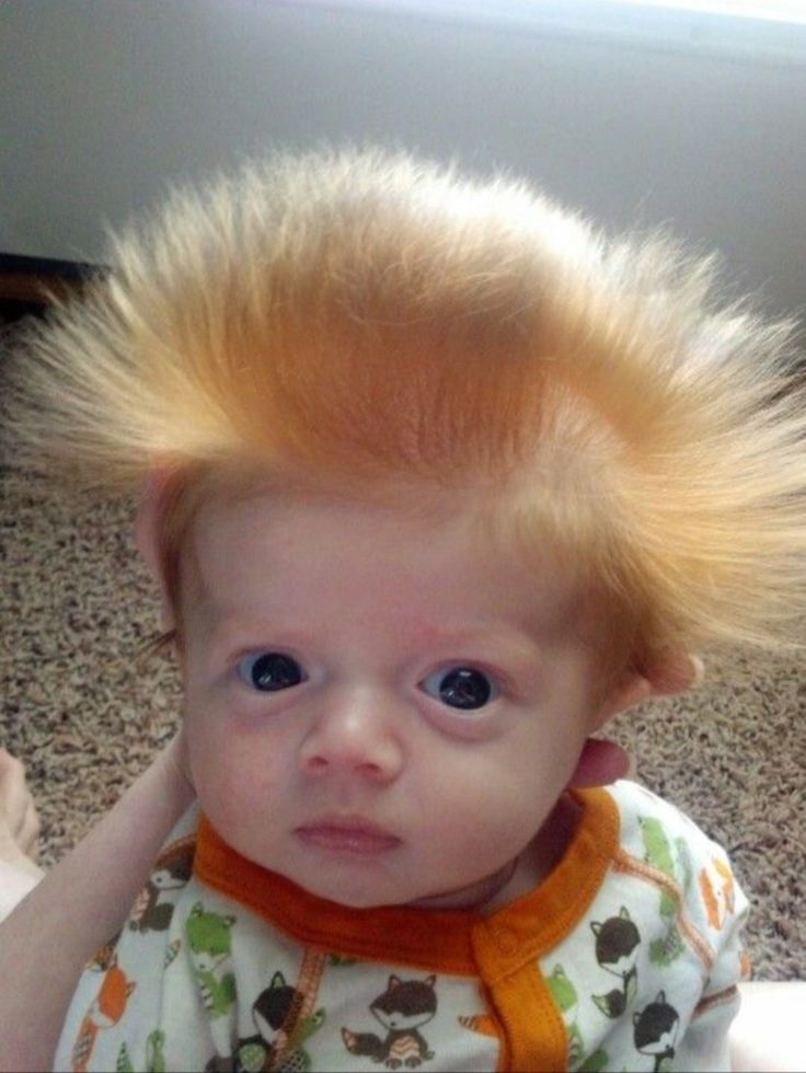 a baby with blonde hair on top of it's head