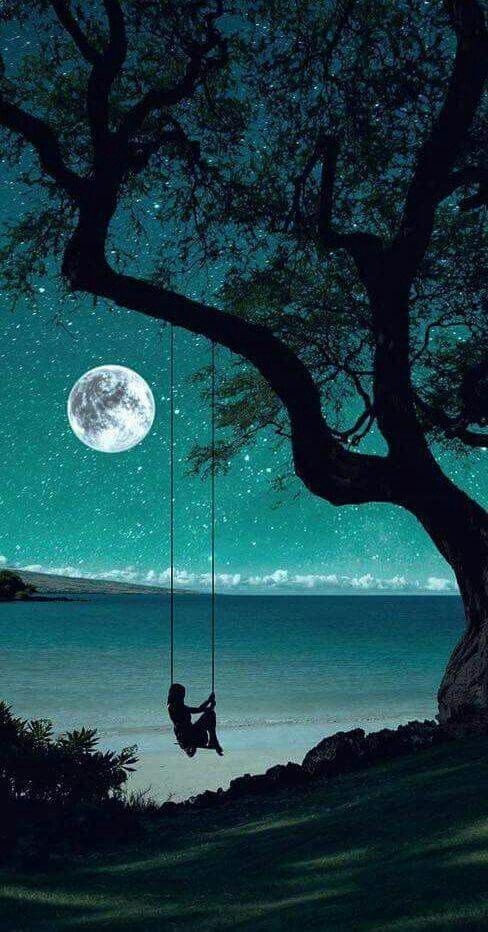 a person sitting on a swing under a tree with the moon in the sky above