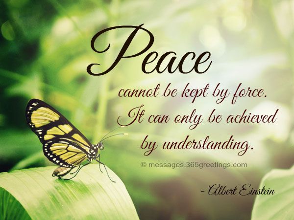 a butterfly sitting on top of a leaf with a quote above it that says, peace cannot