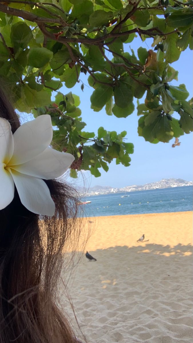 a woman's head with white flowers in her hair on the beach next to the ocean