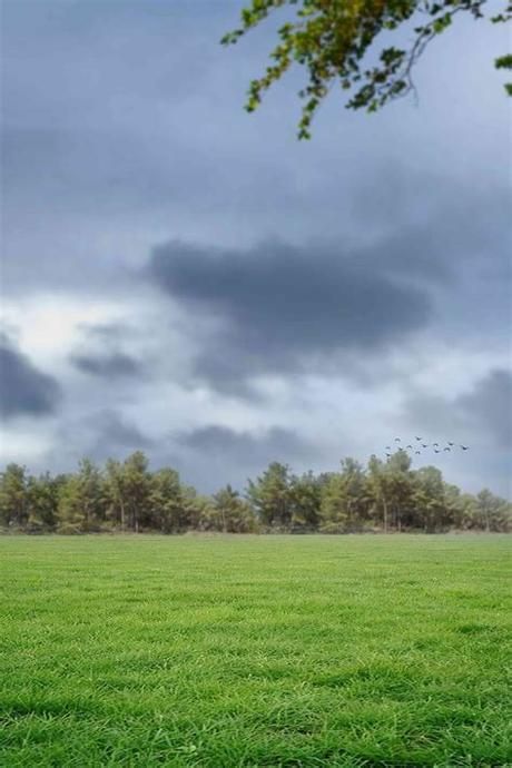 a green field with trees and clouds in the background