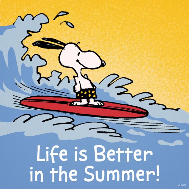 a cartoon dog riding on top of a surfboard with the words life is better in the summer