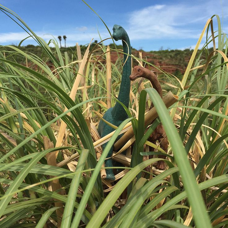 a toy duck sitting in the middle of tall grass