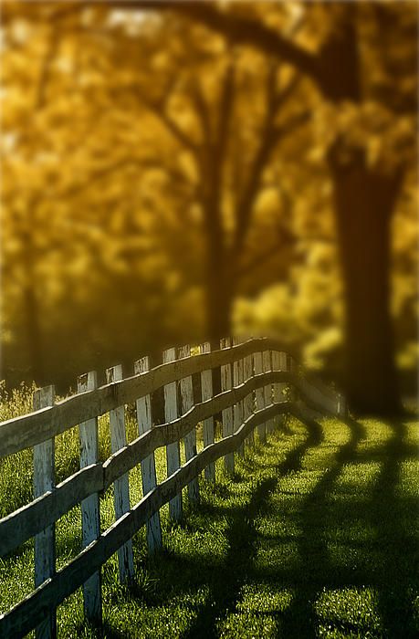 a wooden fence in the middle of a grassy field with trees and yellow leaves behind it