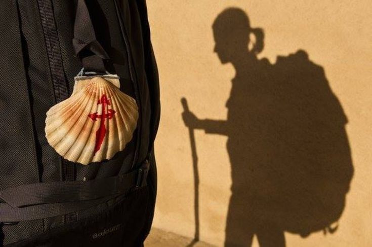 the shadow of a man with a shell on his back is cast by a wall