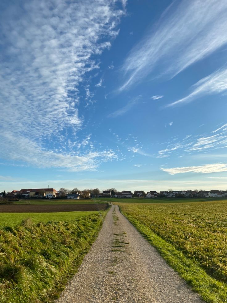 a dirt road in the middle of an open field