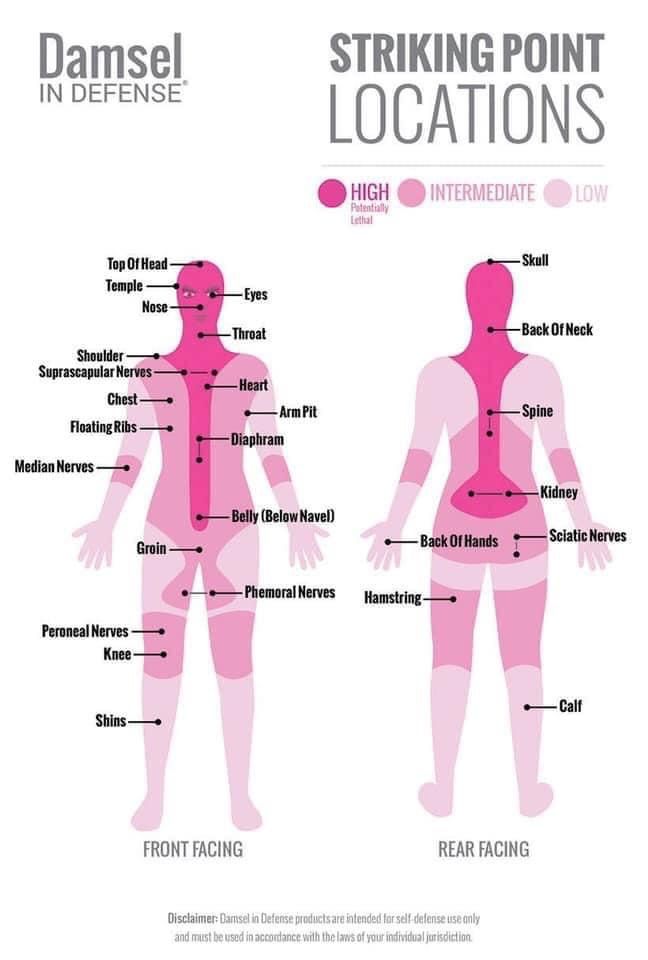 a diagram showing the location of different types of human body and how to use it