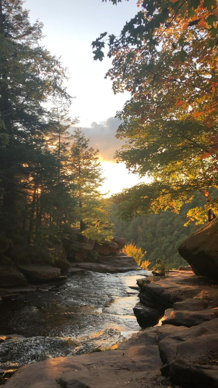 the sun shines through the trees and over rocks in this riverbed area with water flowing between them