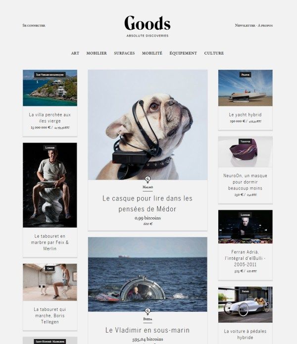 the website is designed to look like it has an image of a dog wearing a harness