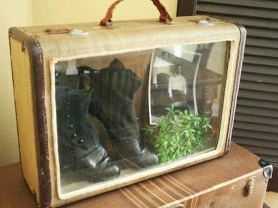 an old suitcase is filled with shoes and plants in the shape of a shoebox