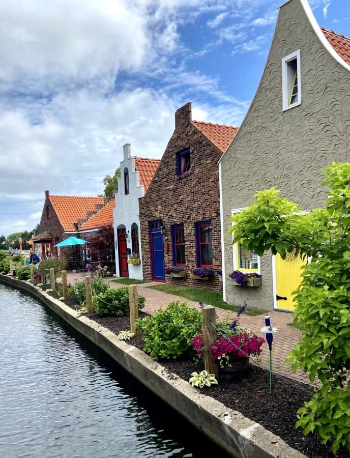 a row of houses next to a body of water with flowers growing on the side