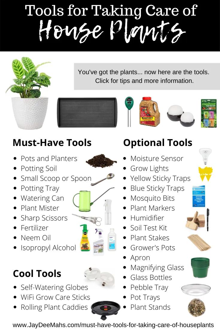 tools for taking care of house plants and how to use them in your home garden