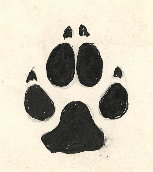 an animal's paw is shown in black ink