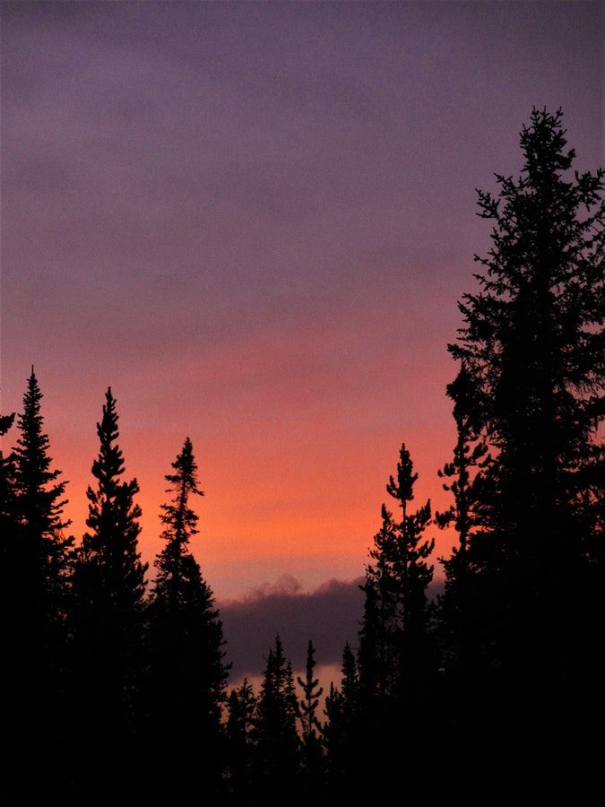 the sun is setting behind some trees in the distance with purple and orange colors over them