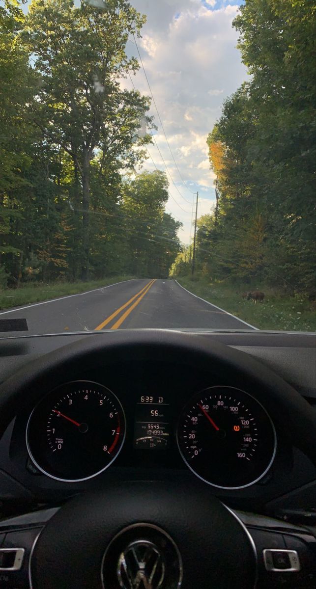 the dashboard of a car driving down a road with trees on both sides and blue sky in the background