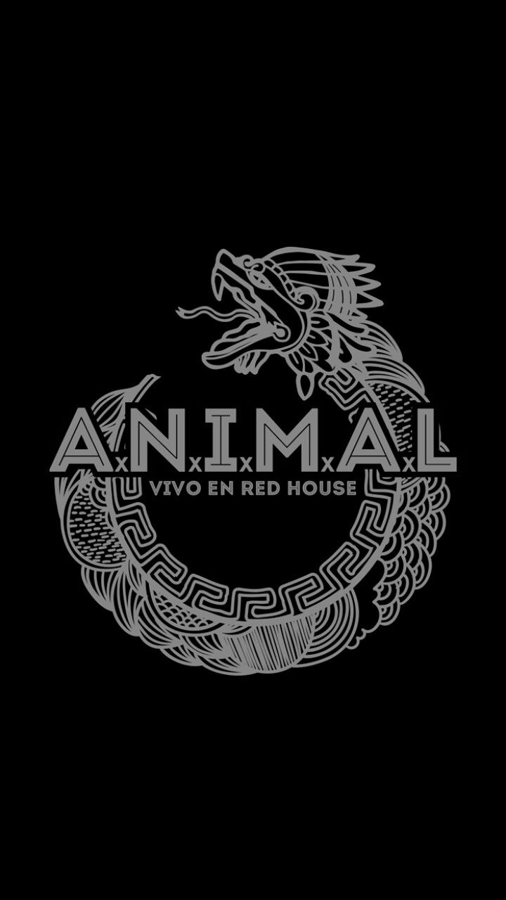 an animal logo on a black background with the words animal in white letters, and a dragon