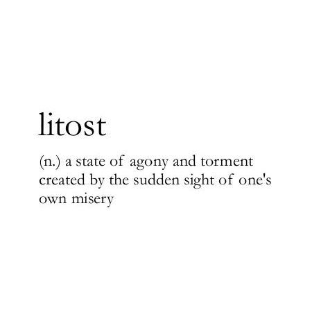 the words litost are written in black and white on a white background with an orange border