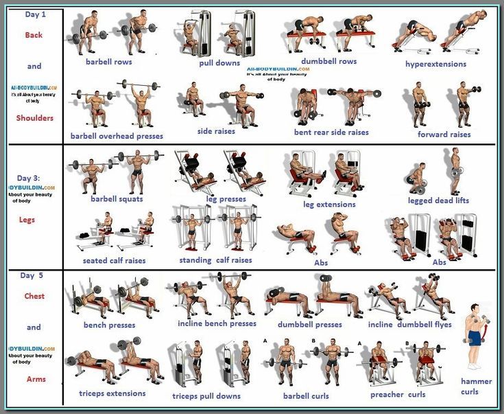 (ad) The Most Important Gym Routines for Men  1. Deadlift  2. Back squat  3. Bench Press  4. Dumbbell romanian deadlift  5. Kettlebell swing. 3 Day Workout Routine, Barbell Workout Routine, Lean Muscle Workout, 3 Day Workout, Trx Workout, Gym Program, Gym Plan, Workout Plan For Men, Work Out Routines Gym