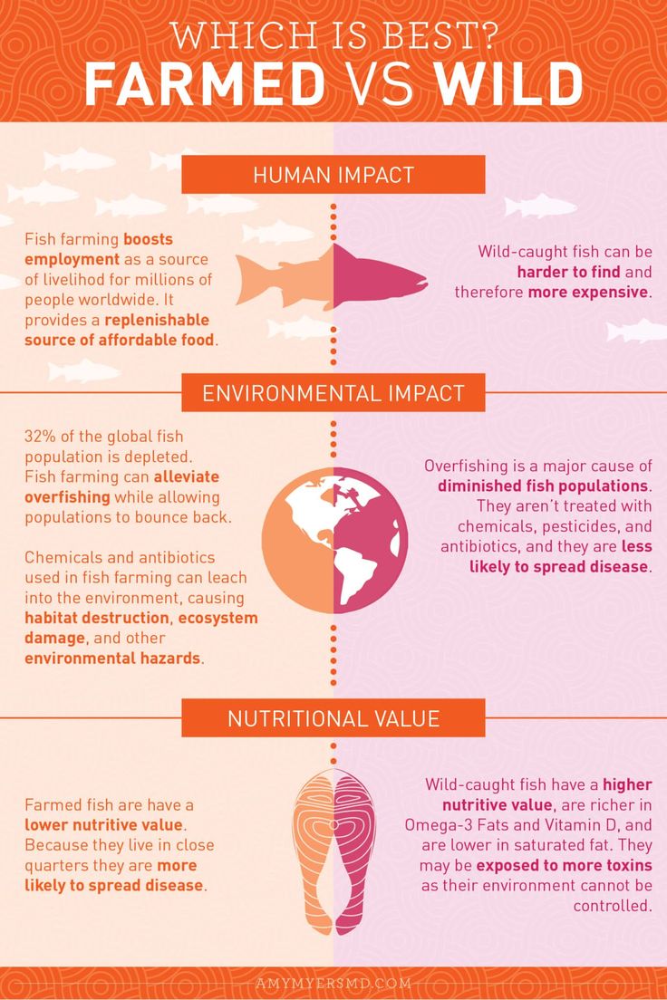 the different types of food that people eat