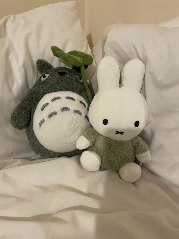 miffy and totoro Totoro Plush, Room Makeover Inspiration, Cute Stuffed Animals, Cute Little Things, Cute Plush, الرسومات اللطيفة, Green Aesthetic, 귀여운 동물, Softies