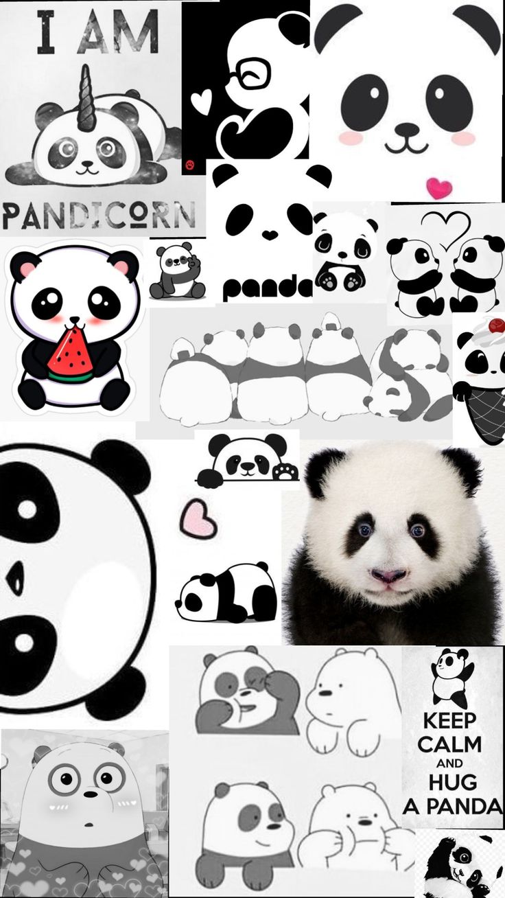 pandas are all over the place with their faces drawn in different styles and colors