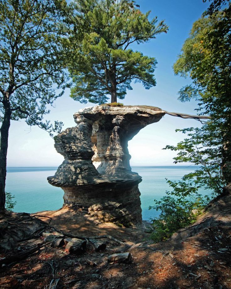 a rock formation in the woods with trees around it and water in the back ground