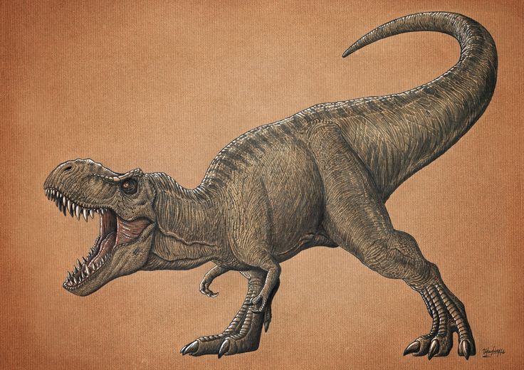 a drawing of a tyransaurus dinosaur with its mouth open
