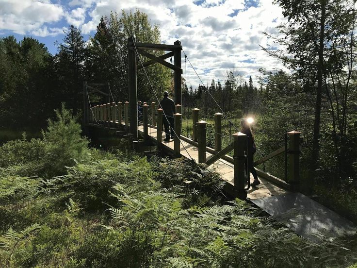 two people walking across a wooden bridge in the middle of some tall grass and trees