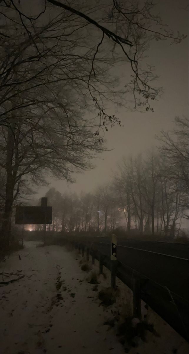 a snowy path with trees and street lights in the distance, at night on a foggy day