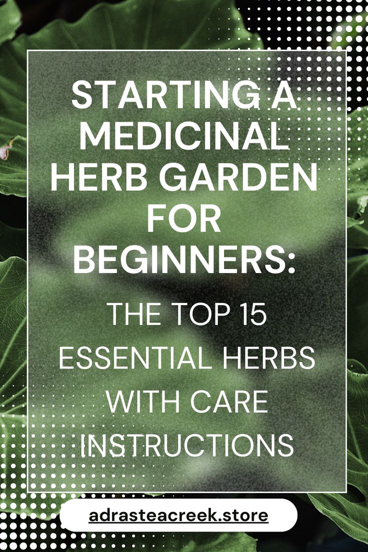 the top 15 essential herbs with care instructions to start a medical herb garden for beginners