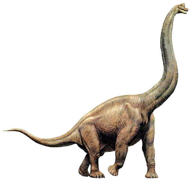 an image of a dinosaur that is walking