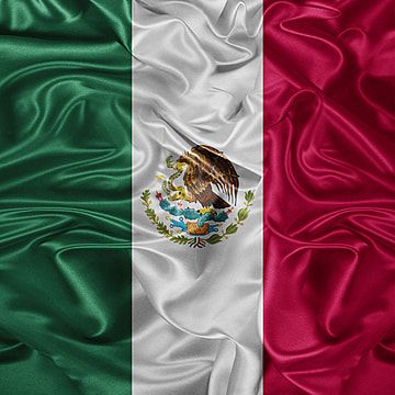 the flag of mexico is depicted in this image with silky folds and satin textures