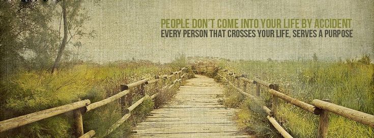 a wooden bridge that has a quote on the side saying people don't come into your life by accident