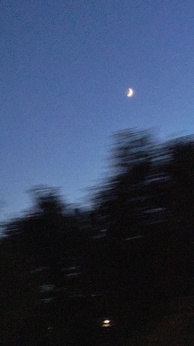 a blurry photo of trees and the moon in the sky at night with no clouds