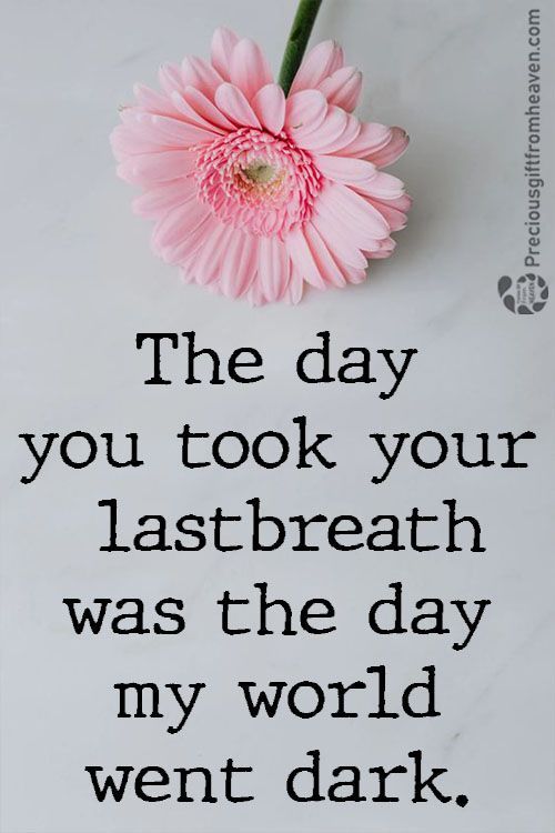 a pink flower sitting on top of a piece of paper with the words, the day you took your last breath was the day my world went dark