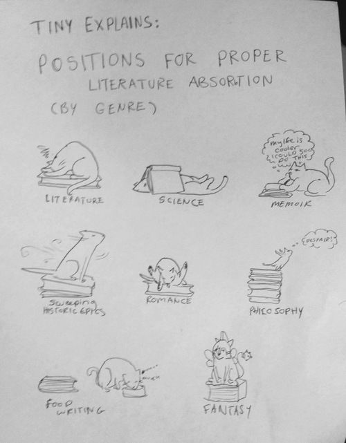 a piece of paper with drawings on it that says tiny explains positions for proper literature association