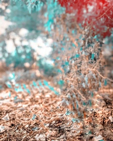 a blurry image of leaves and dirt on the ground in front of a tree