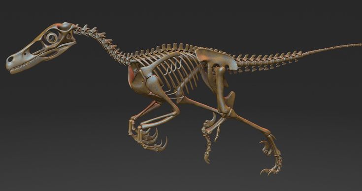 an image of a dinosaur skeleton on a dark background with no one around it to see