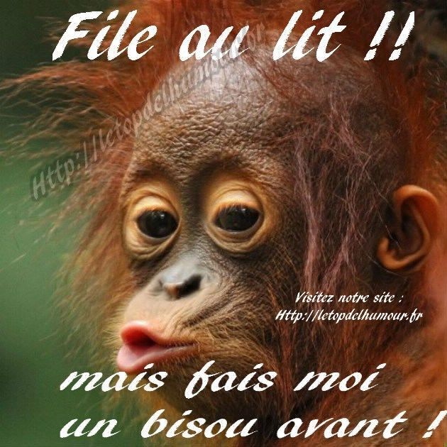 an image of a baby oranguel with the caption'file au lit '