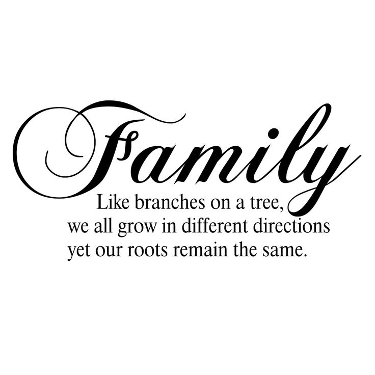 family like branches on a tree, we all grow in different directions yet our roots remain the same