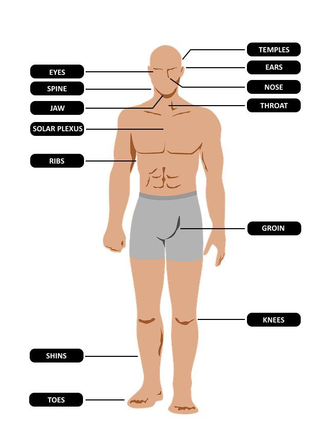 the anatomy of a man's body and its major parts, including his muscles